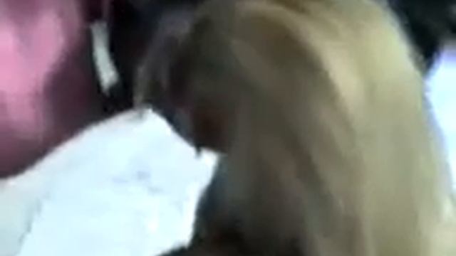 Неизвестный существо