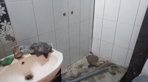 Монтаж душевой кабины с переносом водопровода Обзор п