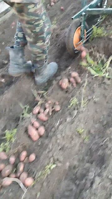 Самодельная картофелекопалка смотреть онлайн