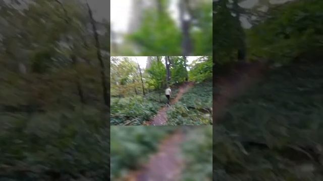 Древнее капище БОГА ПЕРУНА/Высшая точка где рос свяще? смотреть онлайн