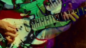 THE LEGENDARY FLOWER PUNK (Insomnia 2022)