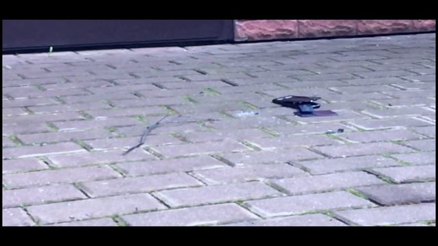 Crash test / IPhone в смятку