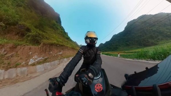 GENETICA - KNIGGHT, ICEGERGERT, A-THIS