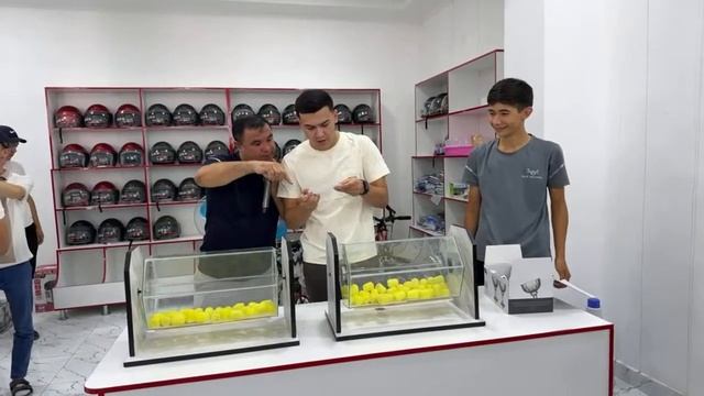 BERUNIY 24 TV в прямом эфире!