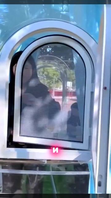 Лучшая замена старомодным беседкам. Артикул на главно смотреть онлайн