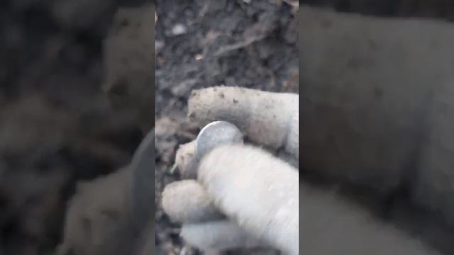 Супер находка. коп#поиск#металлоискатель#находки#моне смотреть онлайн