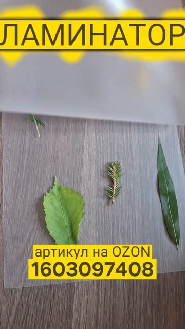 Ламинатор бумаги А4 с пленкой, артикул на OZON 1603097408 смотреть онлайн