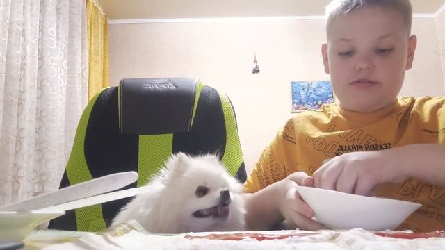 делаем шаурму с Рикой