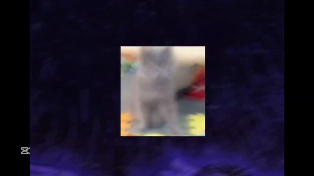 НАСРУ В ТАПКИ |фонк|2025|коты| смотреть онлайн