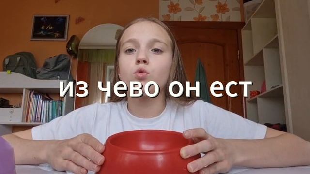 0518(1) смотреть онлайн