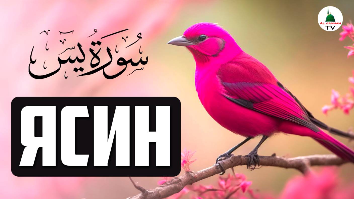 Сура Ясин. Коран смотреть онлайн