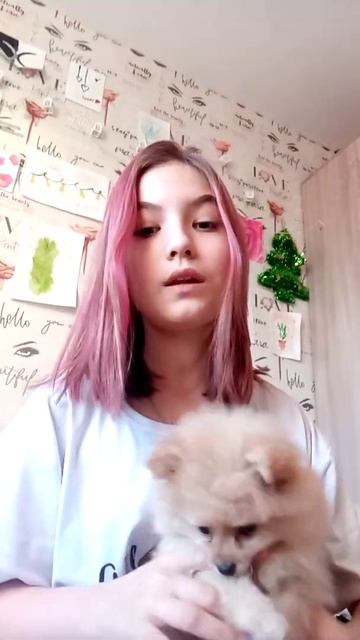 шпиц нора, 2 месяца💗📎 смотреть онлайн