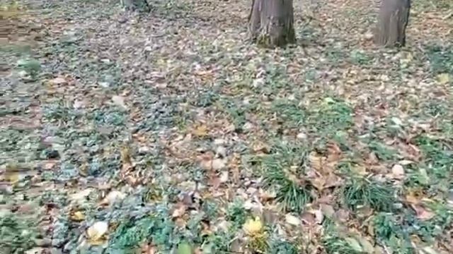 С ним почувствовала радость жизни.