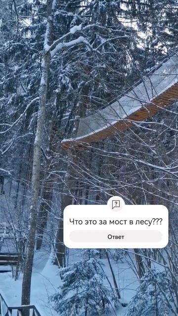 Что это за мост между деревьями в лесу? What is this bridge between смотреть онлайн