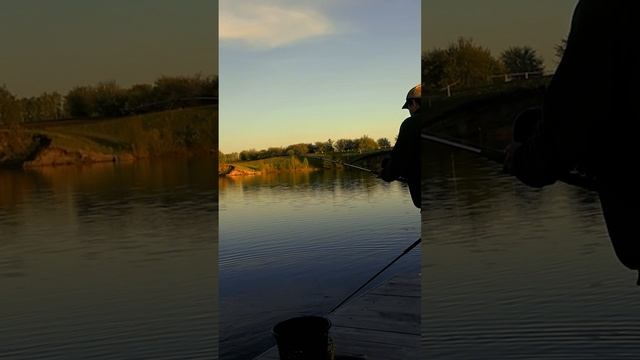 1:58
На советский спиннинг засел огромный карп смотреть онлайн