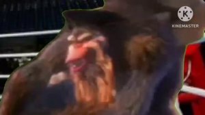 Олимпийские игры вместе с Лунтиком 4 сезон 9 серия Бокс