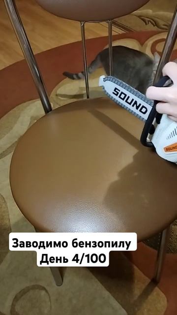 #cat #котики #бензопила електрична заводимо 4/100 день смотреть онлайн