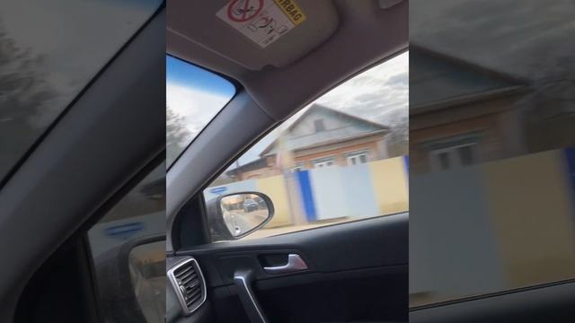 Клубника после зимы и пикированные саженцы