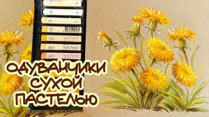 ОДУВАНЧИКИ ПАСТЕЛЬЮ \ СУХАЯ ПАСТЕЛЬ \ DIY