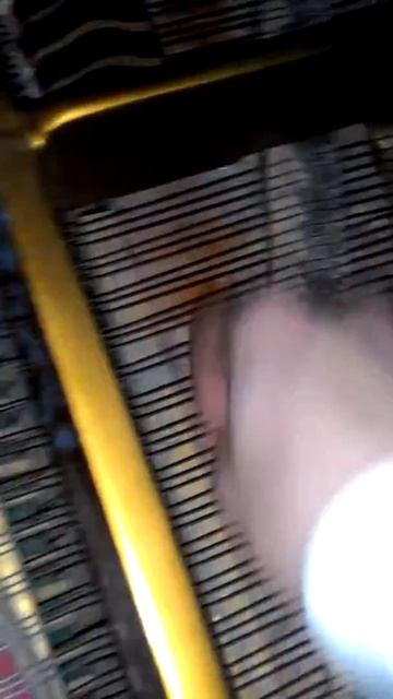 Звук пилы из мультфильмов