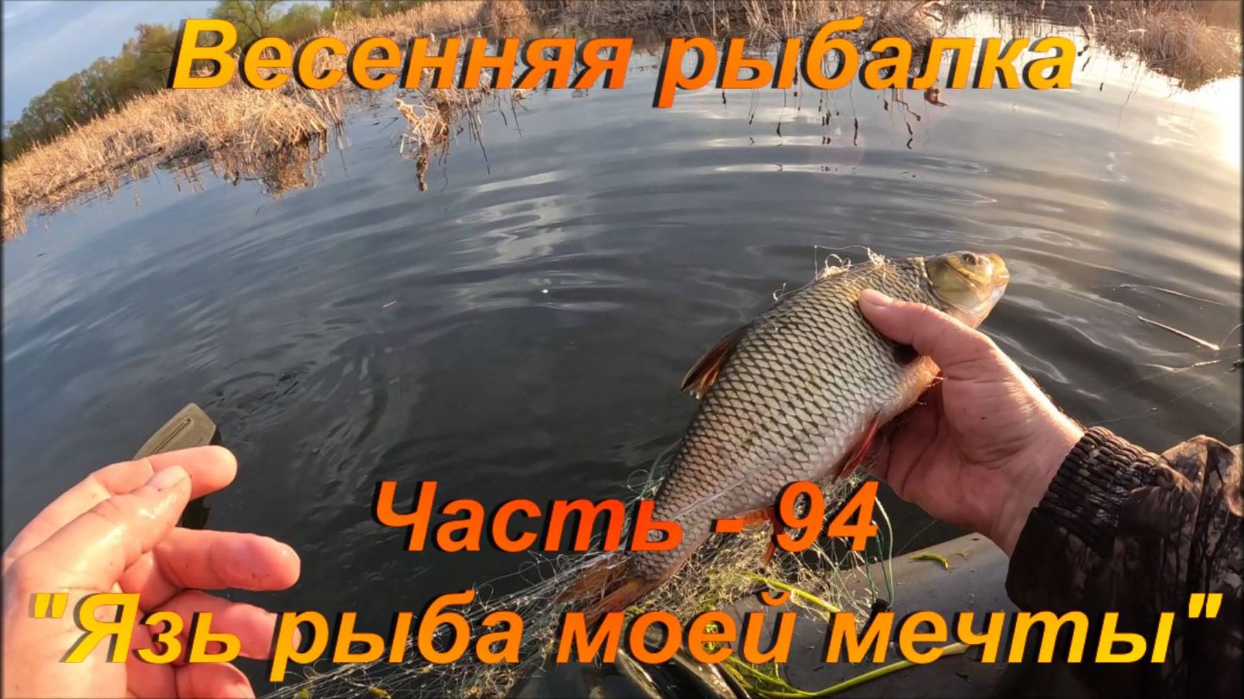 Весенняя рыбалка. Часть - 94. "Язь рыба моей мечты". смотреть онлайн