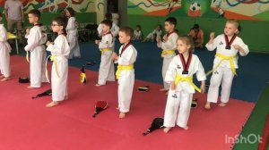 Тхэквондо wtf аттестация на желто-зеленый пояс