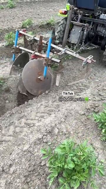 Трактор окучивает картошку #минитрактор#traktor #окучник смотреть онлайн