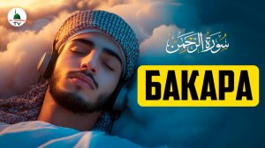 Коран. Сура Бакара