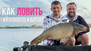 Турнир по 5-ти крупным рыбам. Карпфишинг 2025