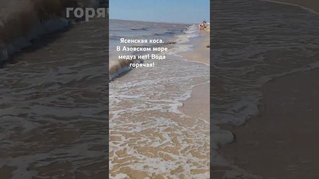 В Азовском море медуз нет! Ясенская коса Азовское море смотреть онлайн