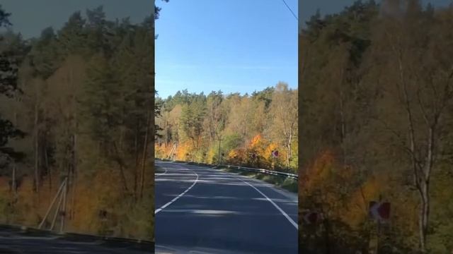 Осень!#природа смотреть онлайн