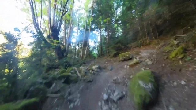 Активация перед CDH 110K 6500M+ Val d'Aran by UTMB 2024 🏃♂️ | Pedro Vizuete🏃♂️ | Pedro Vizuete