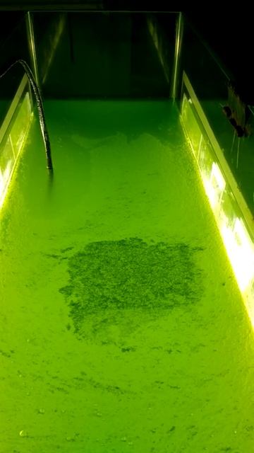 Работа помпы