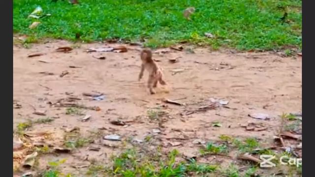 Lily , что ты делаешь? .... 1000006526.mp4 смотреть онлайн