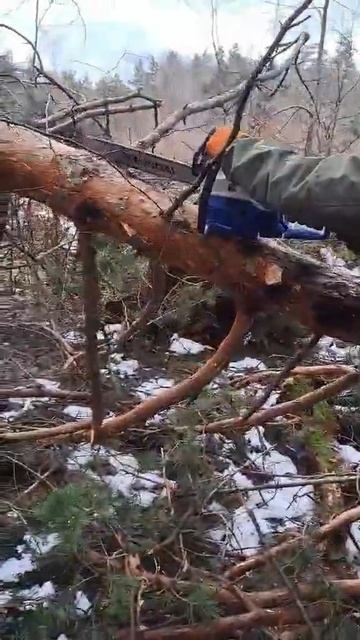 Бензопила хюндай смотреть онлайн