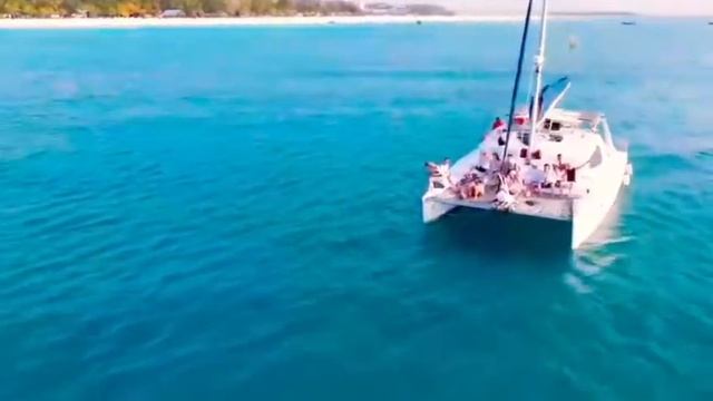 Полная АКУНА МАТАТА - туры на Занзибар