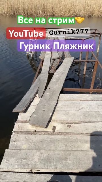 Кидаем поисковый магнит #gurnik777 #grnk #прямойэфир #стрим #г смотреть онлайн