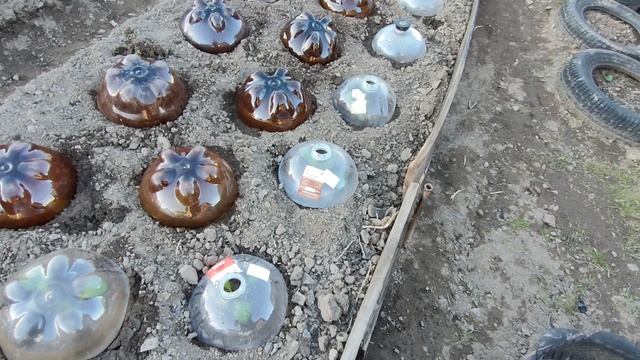 Дачный сезон 18.05.2025. Посадка капусты и гороха)