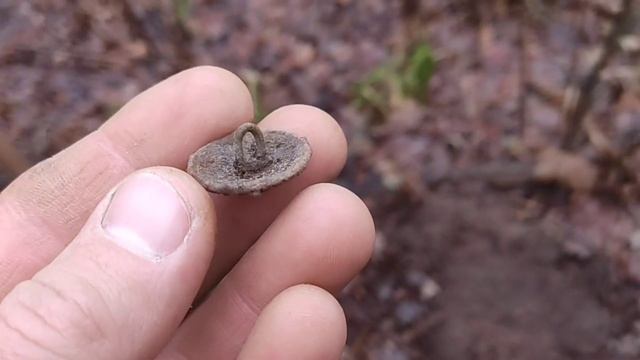 Коп 2025.Поиск в лесах Харьковской обл.Нашли серебро .Вы? смотреть онлайн