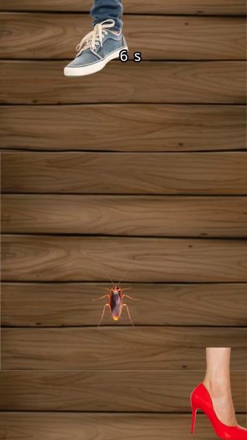 я весёлый таракан смотреть онлайн