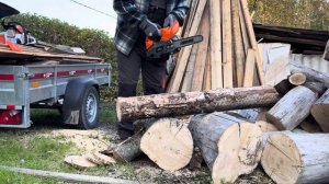 ПРО ПИЛЫ  🪚 бензиновые STIHL MS162 & DAEWOO DACS2610