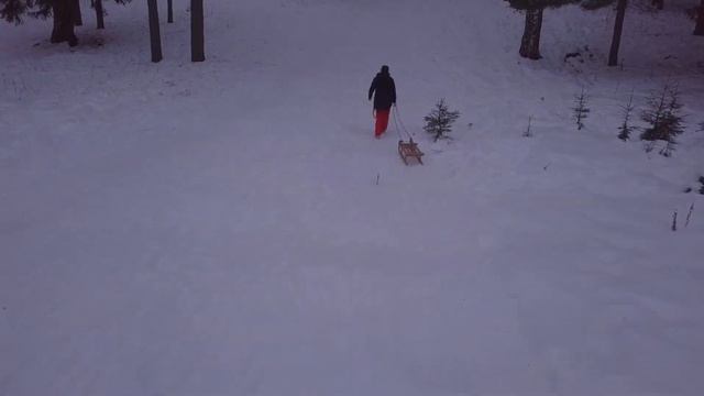 Чаща Гатчинский район зима 2021 горки с белым снегом смотреть онлайн