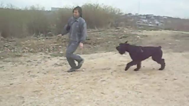 п-к Роман-Кош. Балаклава Басса препятствия. тренинг смотреть онлайн