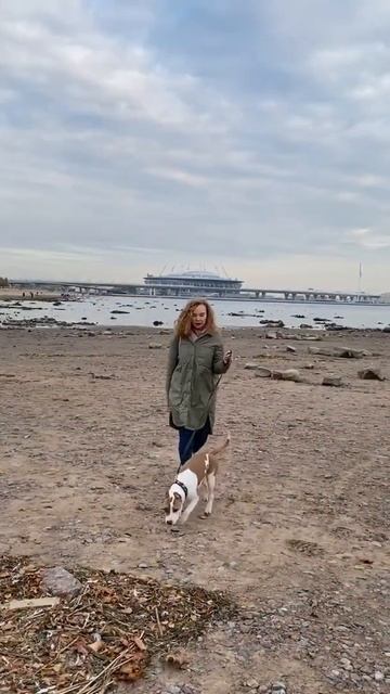 Береги себя... #shorts смотреть онлайн