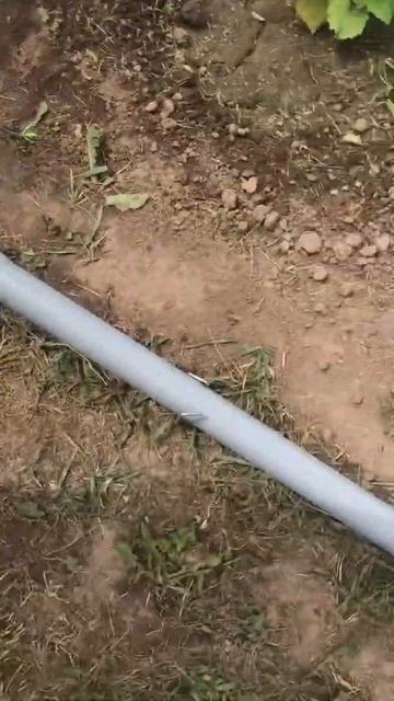 Обустройство капельного полива Жук