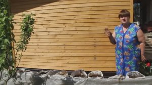 Собери тонны огурцов: Новый способ посадки в мешки!