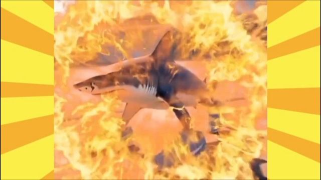 Итальянские брейнрот мемы