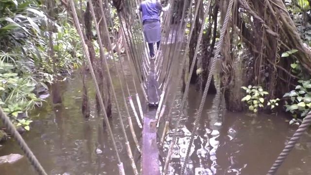 Нидерланды. Сафари-парк. Павильон 