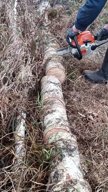 Бензопила stihl 180 пашет по полной смотреть онлайн