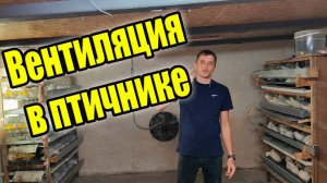 Как сделать идеальную вентиляцию в курятнике? Простой расчет!